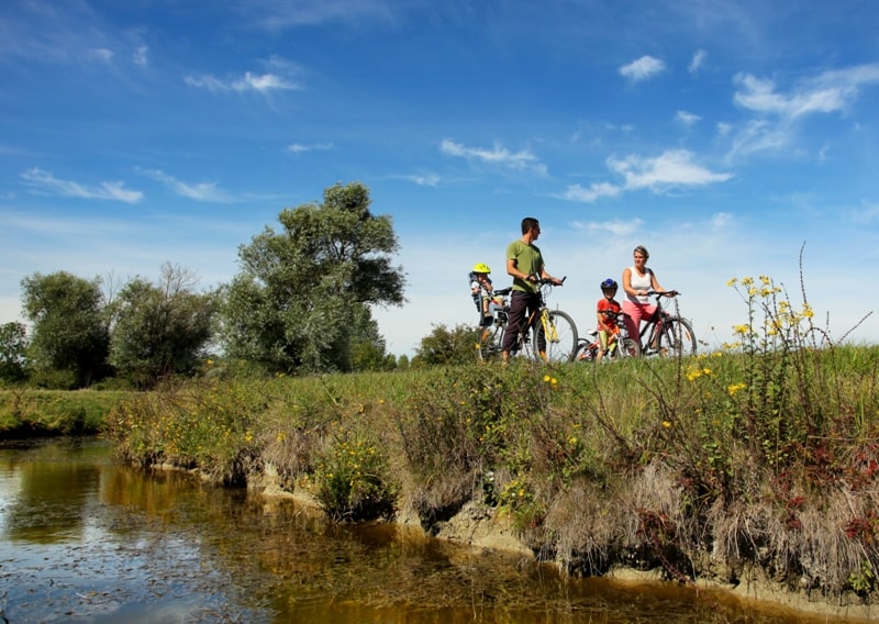 image d'une famille à vélo sur un sentier forestier