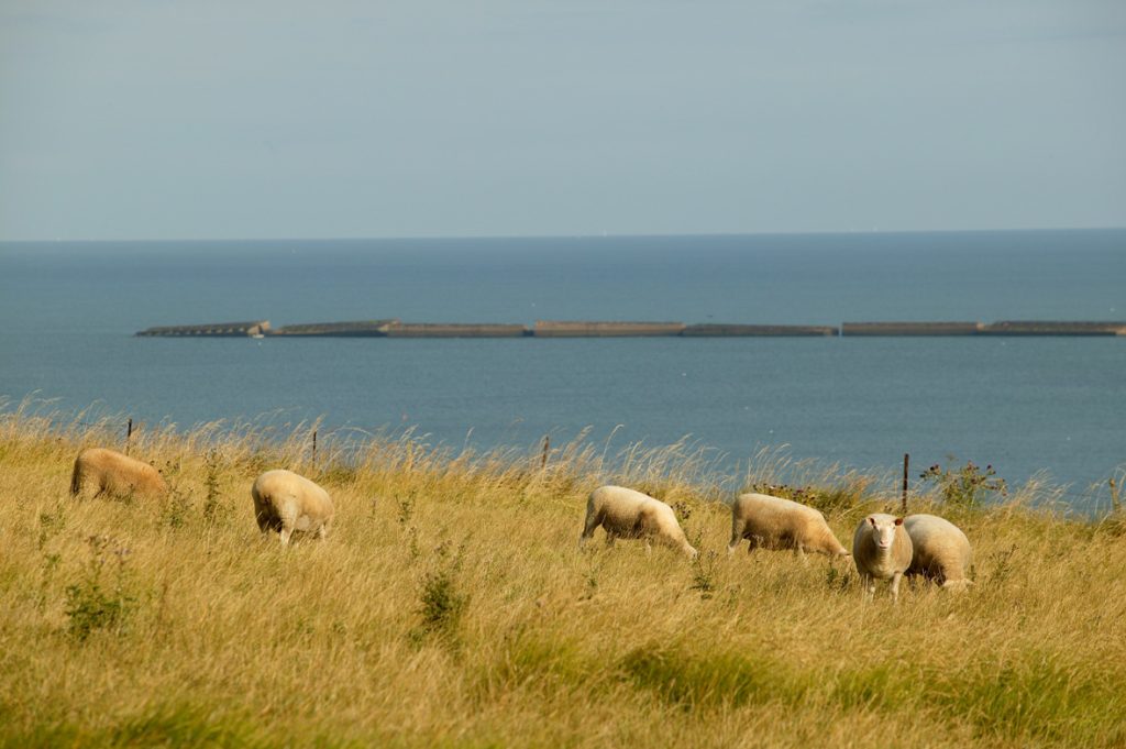The treasures of the peninsula with the family