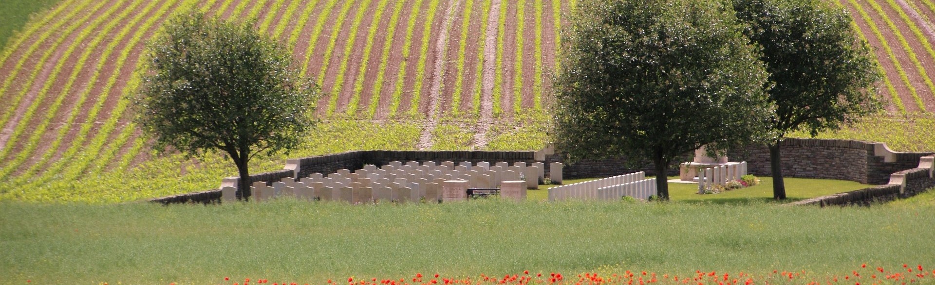The Paths of Remembrance: ANZAC