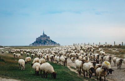 © Valentin Pacaut / The Explorers 

2020, Normandie, France, Region, The Explorers, Valentin Pacaut, Mont Saint-Michel, Saint-Michel, Mont, baie