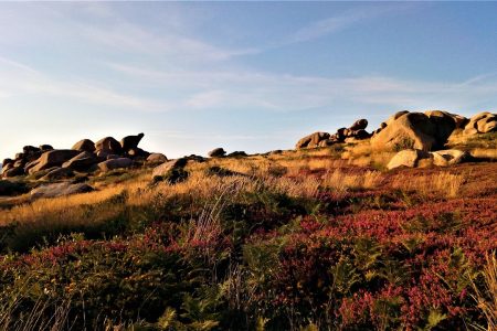 Bretagne-côtes-d'armor-paysages@pixabay-JoelleLC