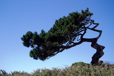 Bretagne-paysage@pixabay-kasabubu