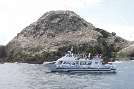 image de l'île de Rouzic