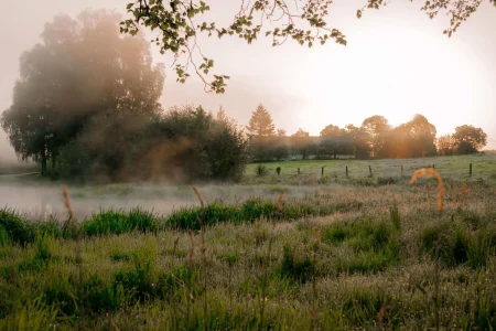 Le_Bocage_Normand-Sacha_Soffer_-_Calvados_Attractivite-13015