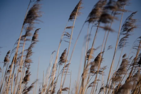 Normandie Nature Marais