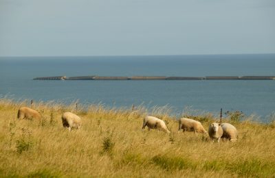 Paysage littoral 04 copie