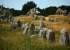 Site-de-Carnac-768x512