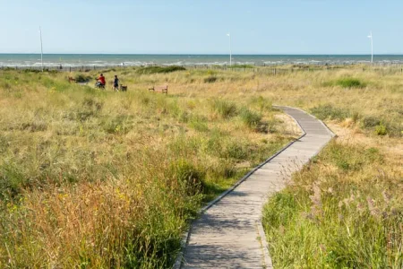 Velo_sur_la_plage_de_Cabourg-EV4-Emmanuel_Berthier_8_11zon