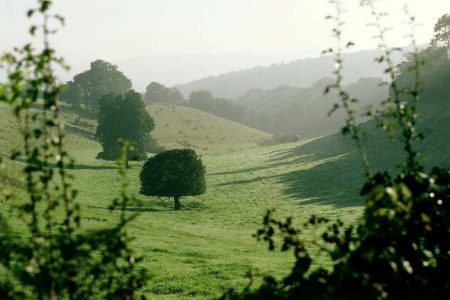 image du bocage normand
