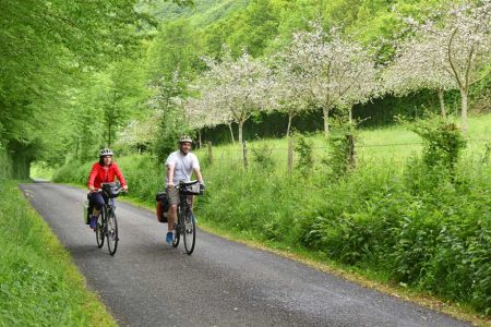 Images de cyclistes qui pédalent sur un sentier forestier