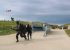 commémorations à Utah Beach